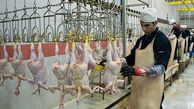حقوق 70 میلیونی ناظران شرعی ایرانی واردات مرغ از ترکیه  + سند
