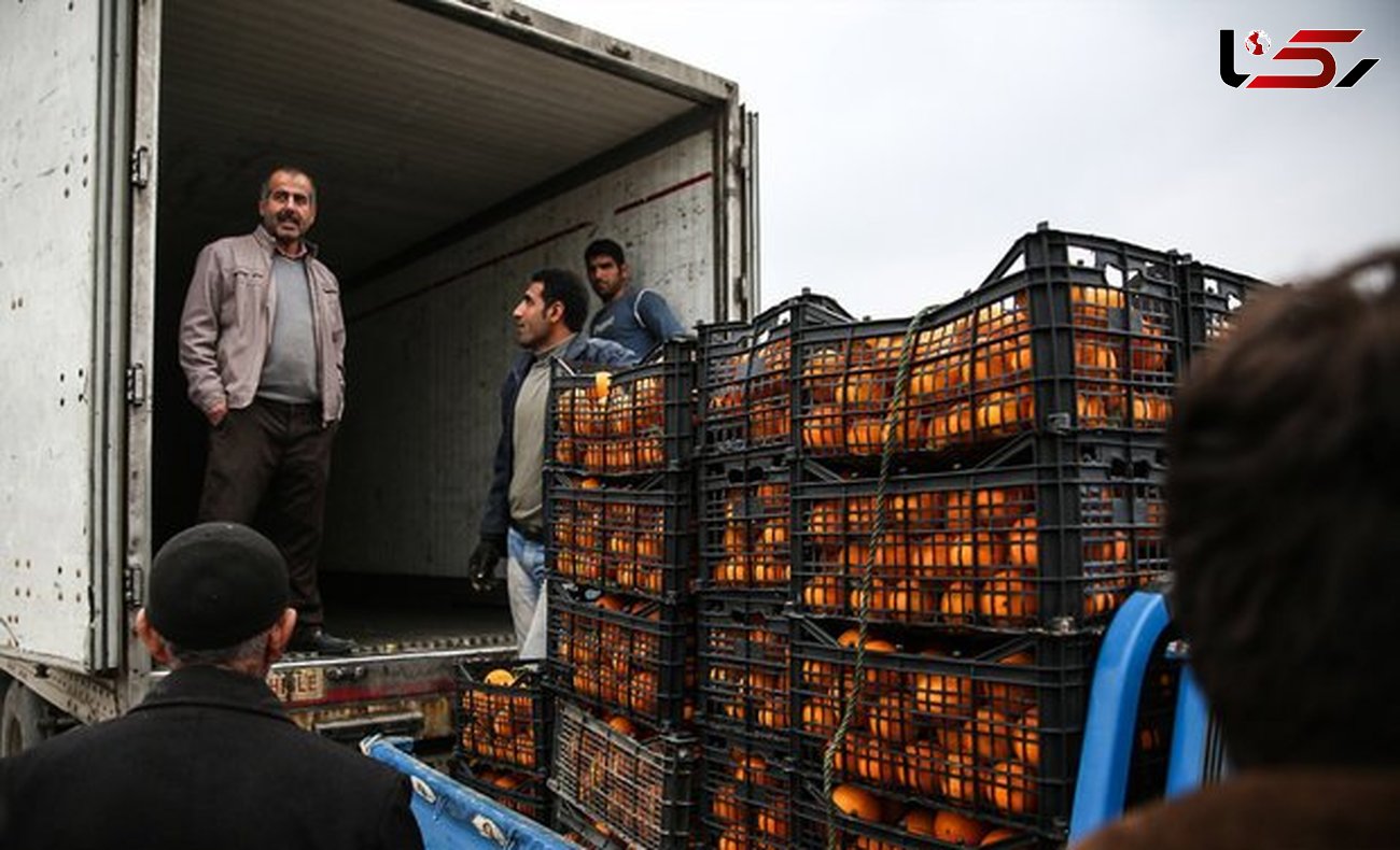 خرید تضمینی ۳۵ هزار تن پرتقال در مازندران