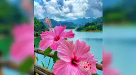 فال ابجد 6 فروردین 1405 