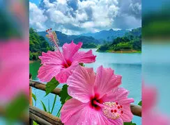 فال ابجد 6 فروردین 1405 