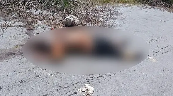 قتل فجیع یک زن بعد از آزار وحشتناک / دندان هایش را کشیدند و پوست سرش را کندند / امریکا