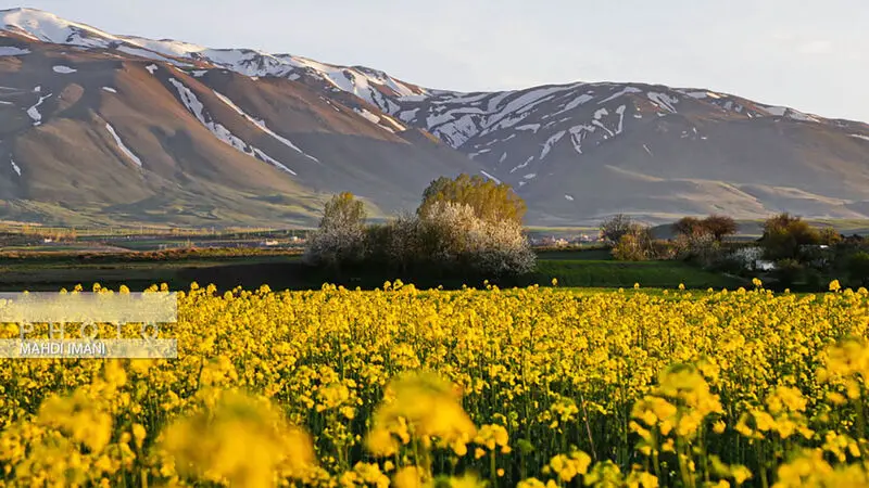 طبیعت بهاره اهر
