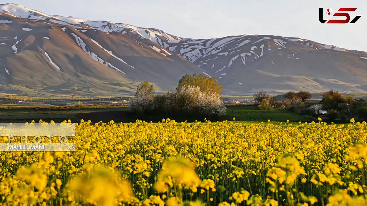 طبیعت بهاره اهر + عکس