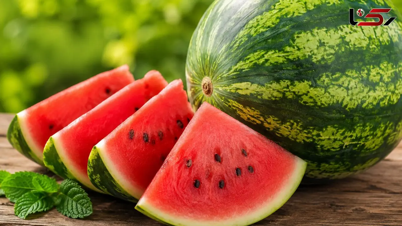 روزی یک برش هندوانه؛ آیا برای کلیه‌ ها معجزه می‌ کند؟