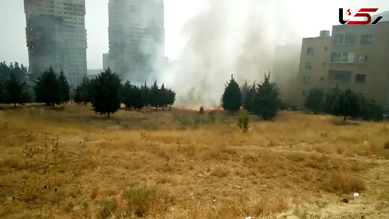 فیلم آتش سوزی وحشتناک در سوهانک / دانشگاه آزاد تهران مرکز به خطر افتاد