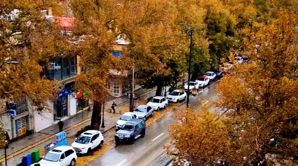 چنارهای کهنسال خیابان بوعلی / همدان در روز بارانی + فیلم 
