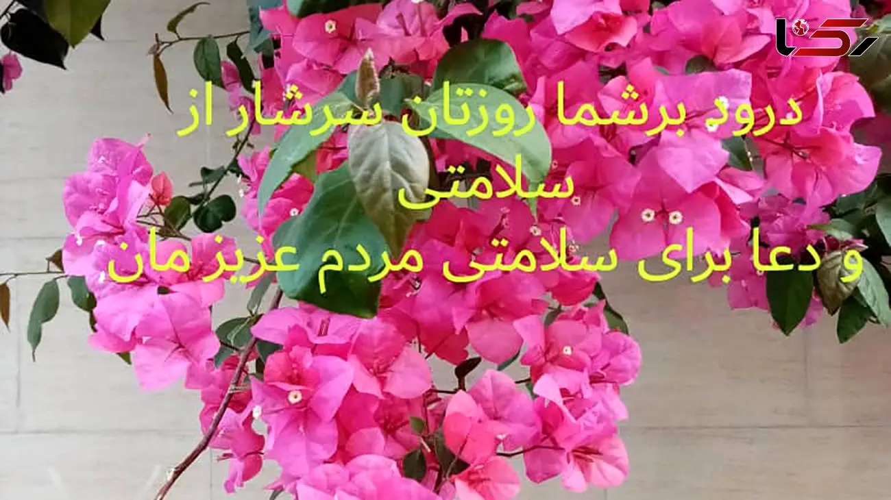 فال روزانه شخصی / 30 دی ماه + فیلم