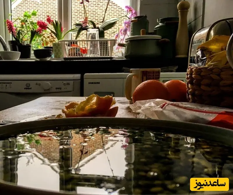 چیدمان منزل فلامک جنیدی