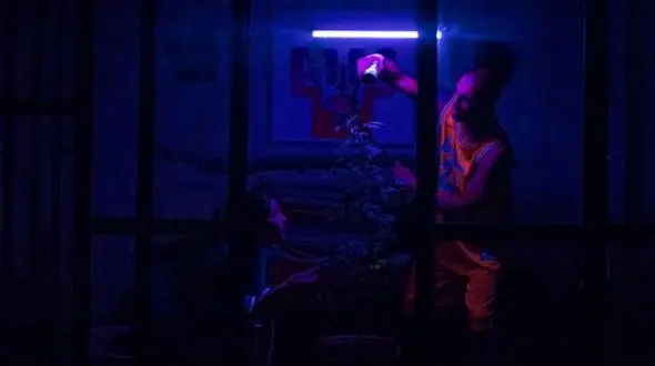 فیلم جدید امیر جدیدی در جشنواره کارلووی واری