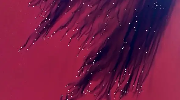 از زیبایی دریاچه کوهستانی گَهَر تا رد فلامینگو ها در دریاچه صورتی