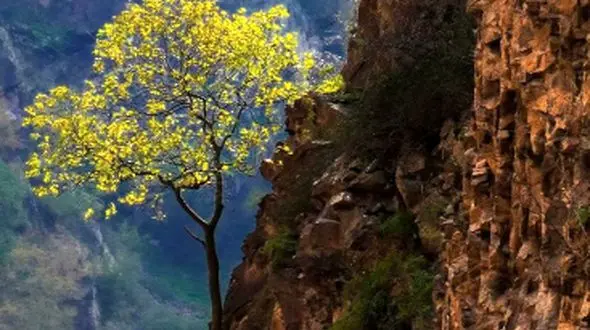 جاده چالوس؛ مسیر تماشایی به قلب طبیعت مازندران