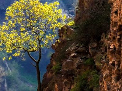 جاده چالوس؛ مسیر تماشایی به قلب طبیعت مازندران