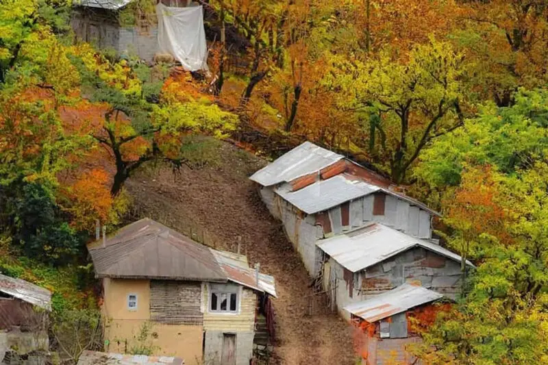 روستای افجه