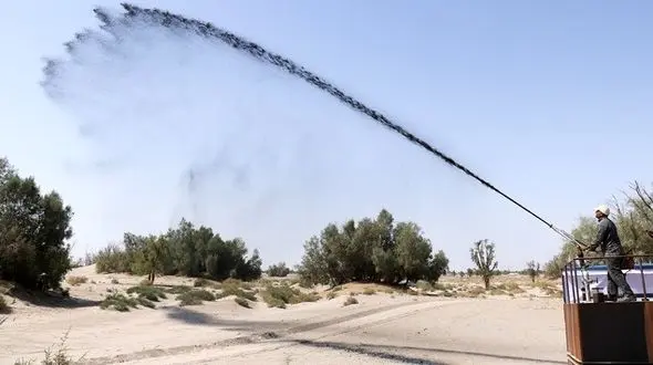 مالچ پاشی اشتباه به جان گونه های نادر خوزستان افتاده است/درخت مهاجم آمریکایی کاشته‌اند که مکنده سفره های زیر زمینی است