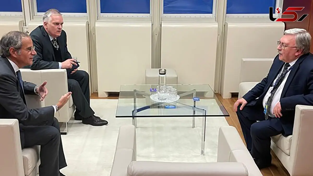 رایزنی اولیانوف و گروسی درباره ایران و اوکراین