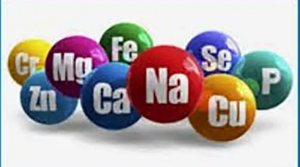 بررسی نقش مواد معدنی در ورزش