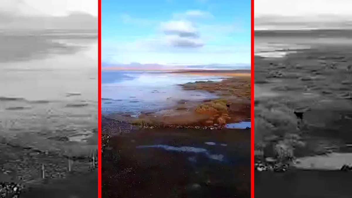 فیلم بازگشت حیات به تالاب نهبندان پس از خشکی طولانی