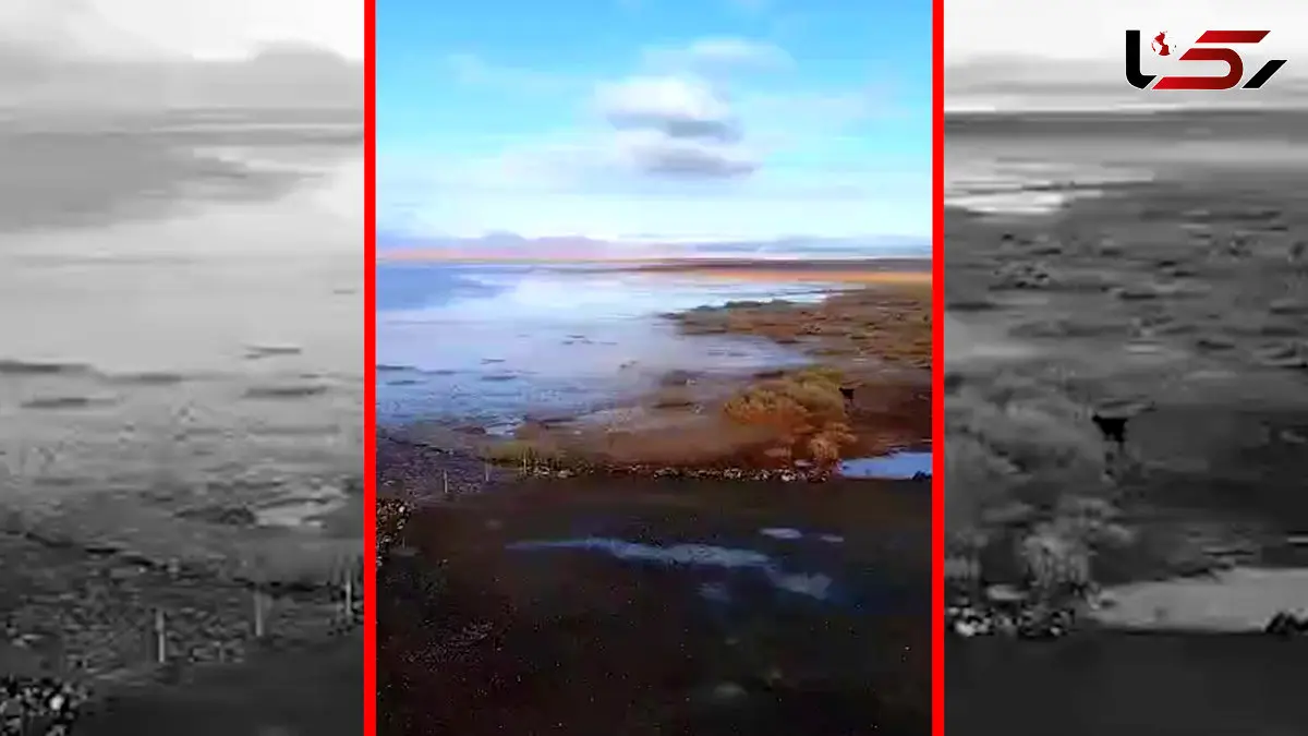 فیلم بازگشت حیات به تالاب نهبندان پس از خشکی طولانی