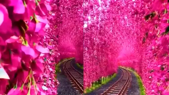 ببینید / ریل قطار جادویی در تایوان + فیلم