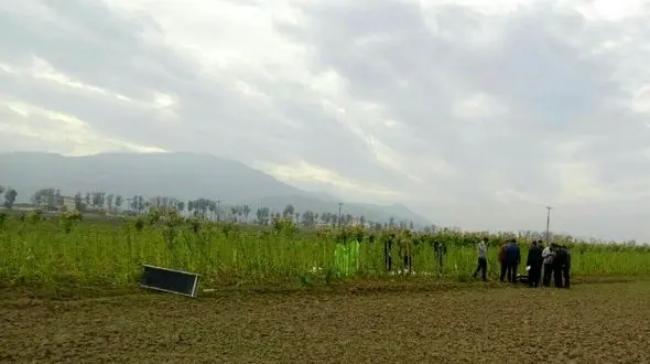 کشف جسد خون آلود زنی جوان در جاده علی آباد کتول+ عکس