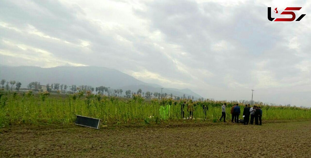 کشف جسد خون آلود زنی جوان در جاده علی آباد کتول+ عکس