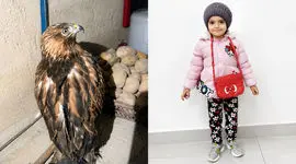 فیلم لحظه حمله سارگپه به دختربچه کرمانشاهی / سلین کوچولو زیر چنگال پرنده شکاری  + گفتگو 