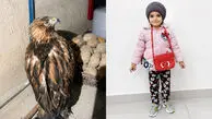 فیلم لحظه حمله سارگپه به دختربچه کرمانشاهی / سلین کوچولو زیر چنگال پرنده شکاری  + گفتگو 