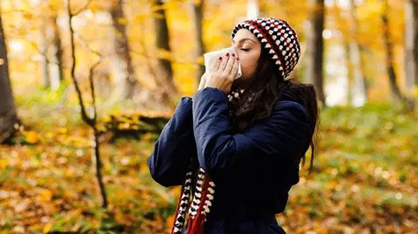 پاییز وارد 11 استان کشور شد / آغاز باد و باران 