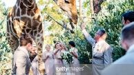 عجیب ترین عکس از یک عروسی! / میهمان زیباترین بود! + عکس