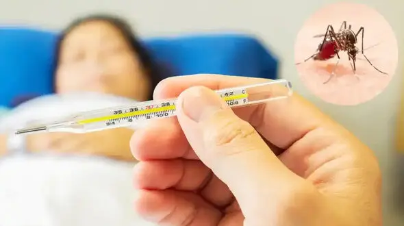 شیوع «تب دنگی» در کشورهای همسایه؛ مراقب سلامت خود باشید