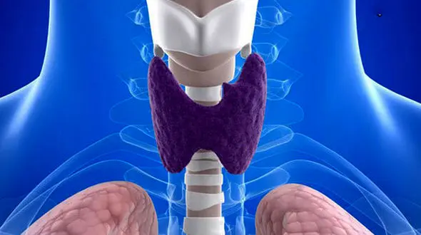 ارتباط بیماری سلیاک با مشکلات تیروئیدی