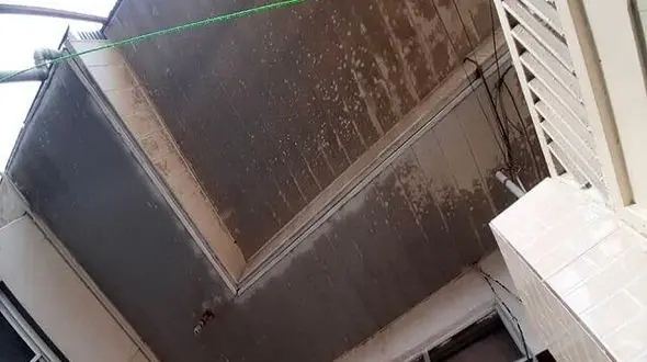 انتشار بوی نامطبوع در بندر انزلی و سیاه شدن ساختمان ها / فرماندار چه گفت ؟ + عکس