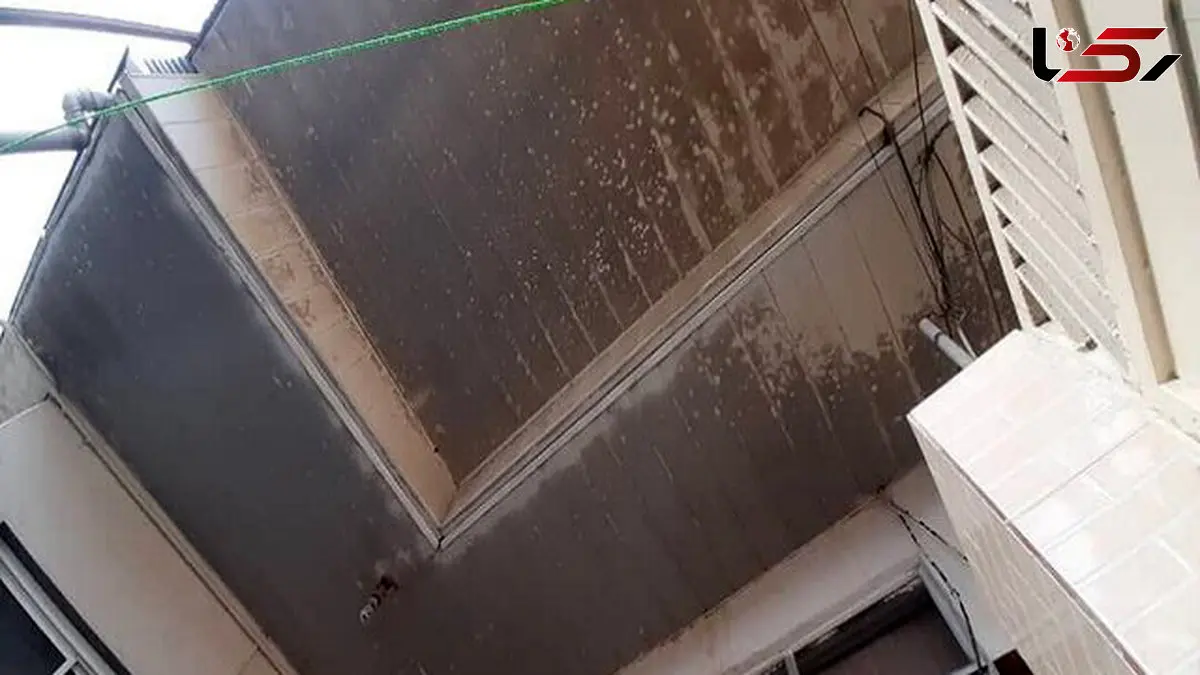 انتشار بوی نامطبوع در بندر انزلی و سیاه شدن ساختمان ها / فرماندار چه گفت ؟ + عکس