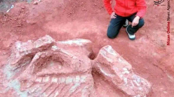 کشف استخوان 10 تنی دایناسور 200 میلیون ساله+ عکس 