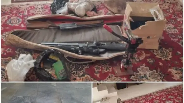 گوشت گراز و کبک شکارچیان بی رحم را لوداد!
