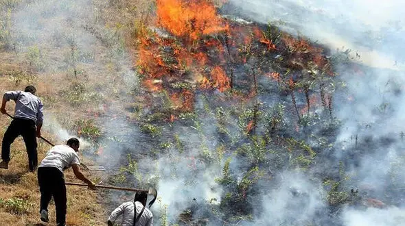زن و شوهر بوکانی برای پیداکردن کلید ماشین، 7 هکتار مزرعه گندم را به آتش کشیدند ! + جزئیات