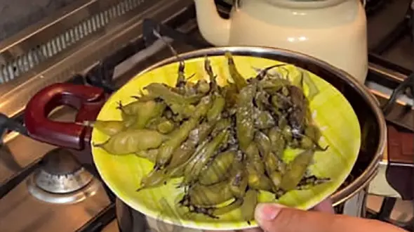 طرز پخت باقالی پخته بهترین عصرانه زمستانی / فیلم