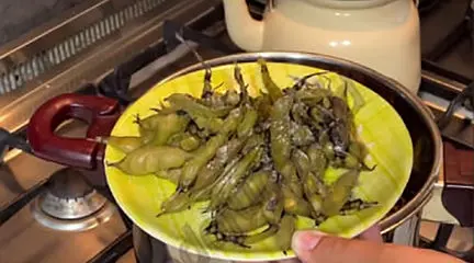 طرز پخت باقالی پخته بهترین عصرانه زمستانی / فیلم