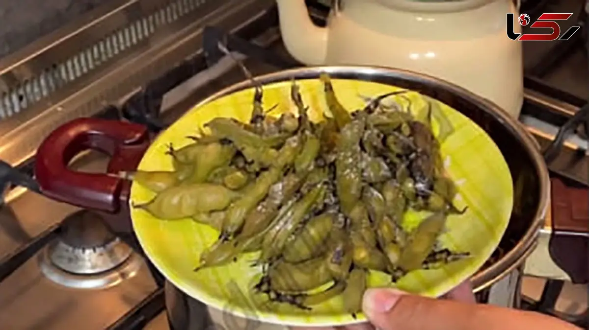 طرز پخت باقالی پخته بهترین عصرانه زمستانی / فیلم