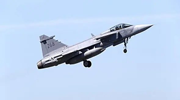 پرندگان، جنگنده سوئدی را سرنگون کردند!