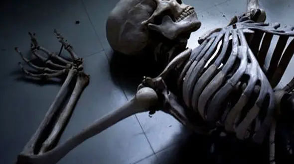 کشف اسکلت مردانه در کانال آب توسط نگهبان شهربازی ارم