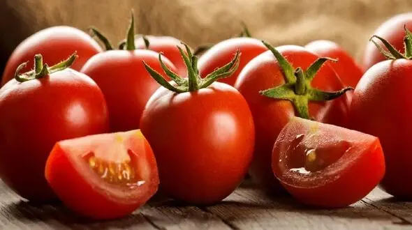 قیمت گوجه‌ فرنگی در بازار به‌ زودی متعادل می‌ شود