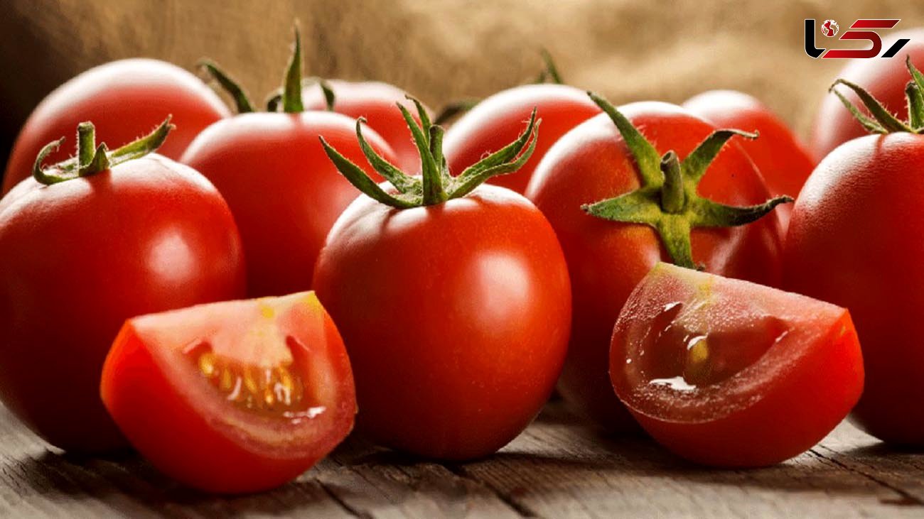 قیمت گوجه‌ فرنگی در بازار به‌ زودی متعادل می‌ شود