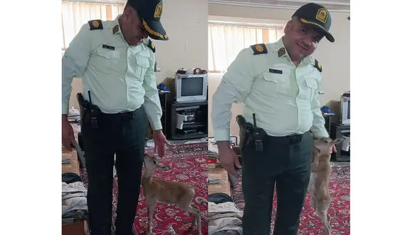 پلیس مشهد ، فرشته نجات بچه آهو! + این عکس جهانی شد