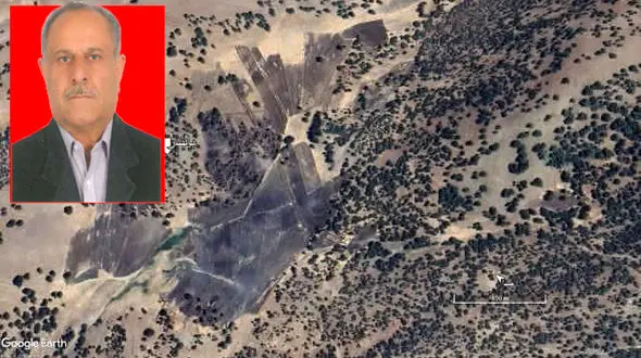 قلع و قمع 20 هکتار رویشگاه درختان بلوط در هرسین/ پناهی: نیروهای حفاظتی منابع طبیعی بسیار کم  و ضعیف در حد صفر دارد/ تشکیل سازمان اطفاء حریق جنگل الزامی است + فیلم