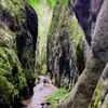 دو چهره از زیبایی ایران