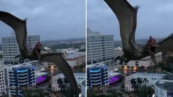 پرنده عجیب الخلقه ای که در طوفان ایرما در آسمان دیده شد! + فیلم و عکس