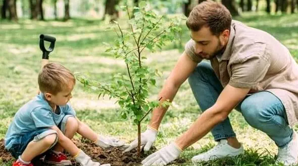 کاشت نهال غیربومی را متوقف کنید!/ نابودی اکوسیستم های طبیعی ایران با کاشت نهال های غیر بومی