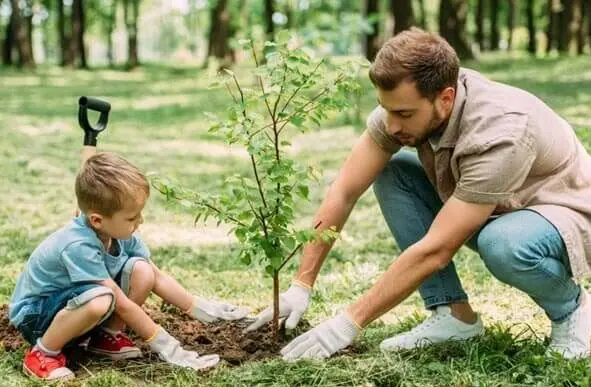 کاشت نهال غیربومی را متوقف کنید!/ نابودی اکوسیستم های طبیعی ایران با کاشت نهال های غیر بومی