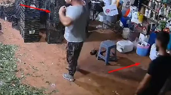 فیلم لحظه مشت مرگ مرد غیرتی به صورت مرد بی آبرو / عکس های زنش را منتشر کرده بود